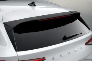 Skoda Enyaq iV 80 2020 года  (WW)